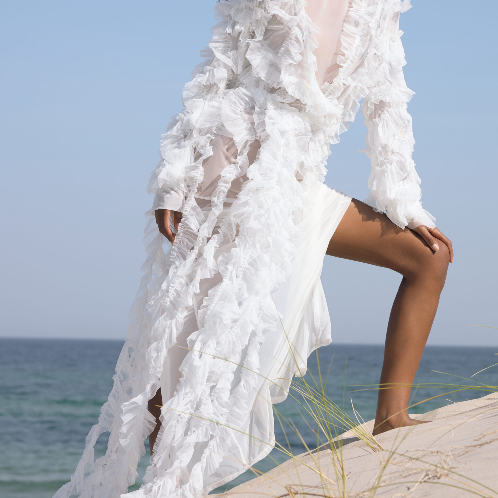 Sheer ruffled maxi dress